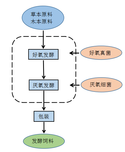 δ(bio)}-3.jpg