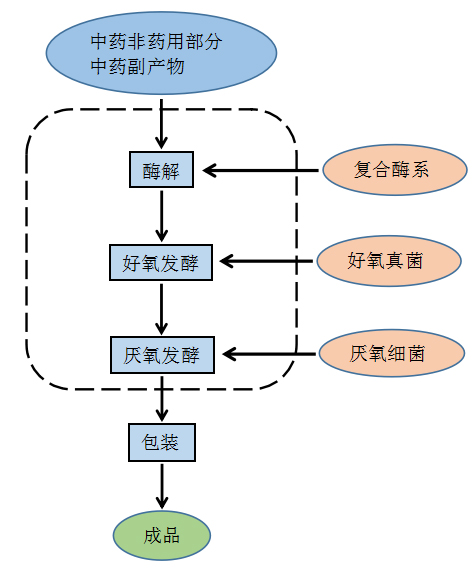 δ(bio)}-4.jpg