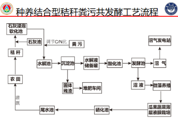 δ(bio)}-12.jpg